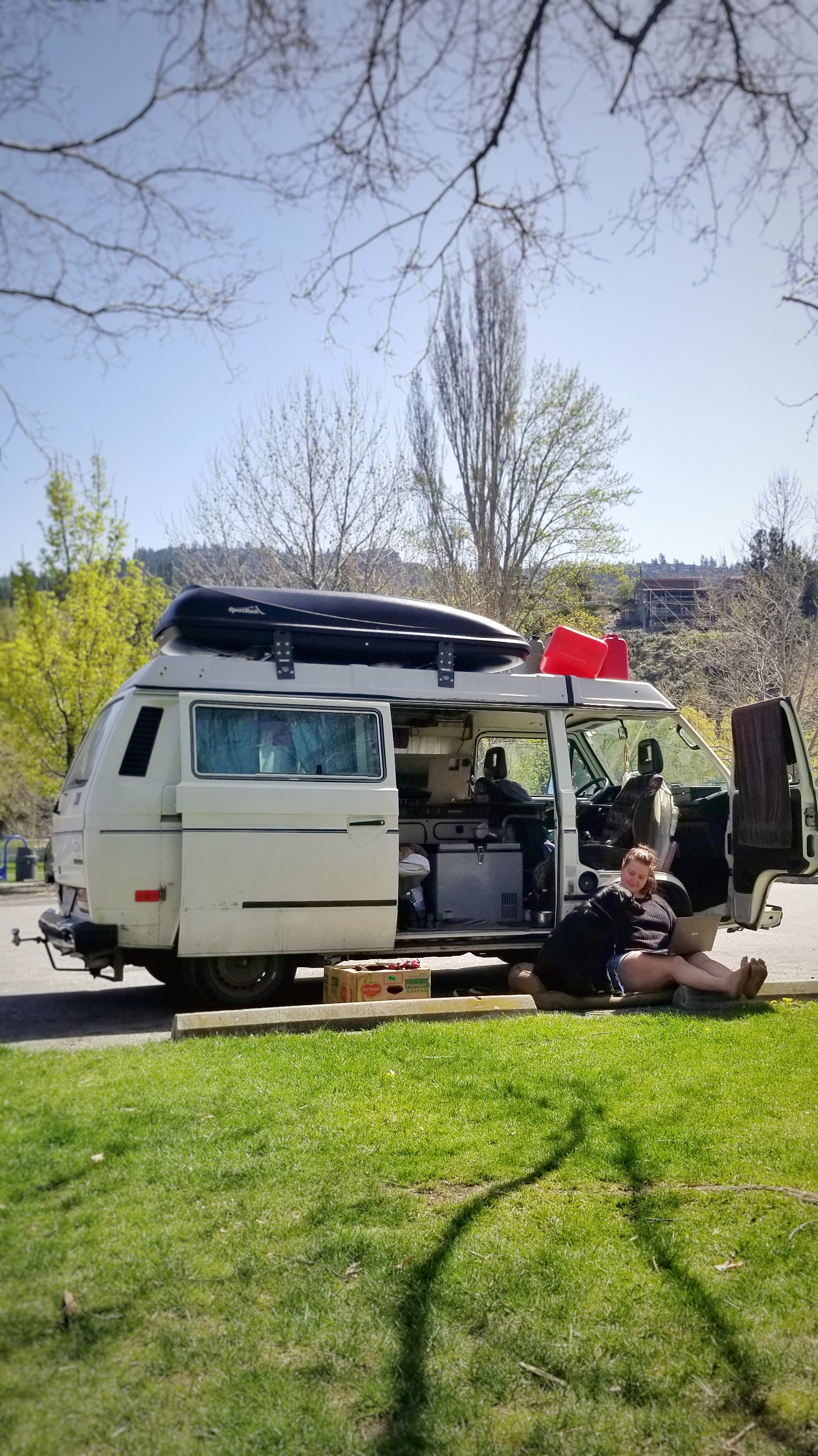 van life, vanlife, camper, camping, park, dogs, road trip, roadtrip, dog