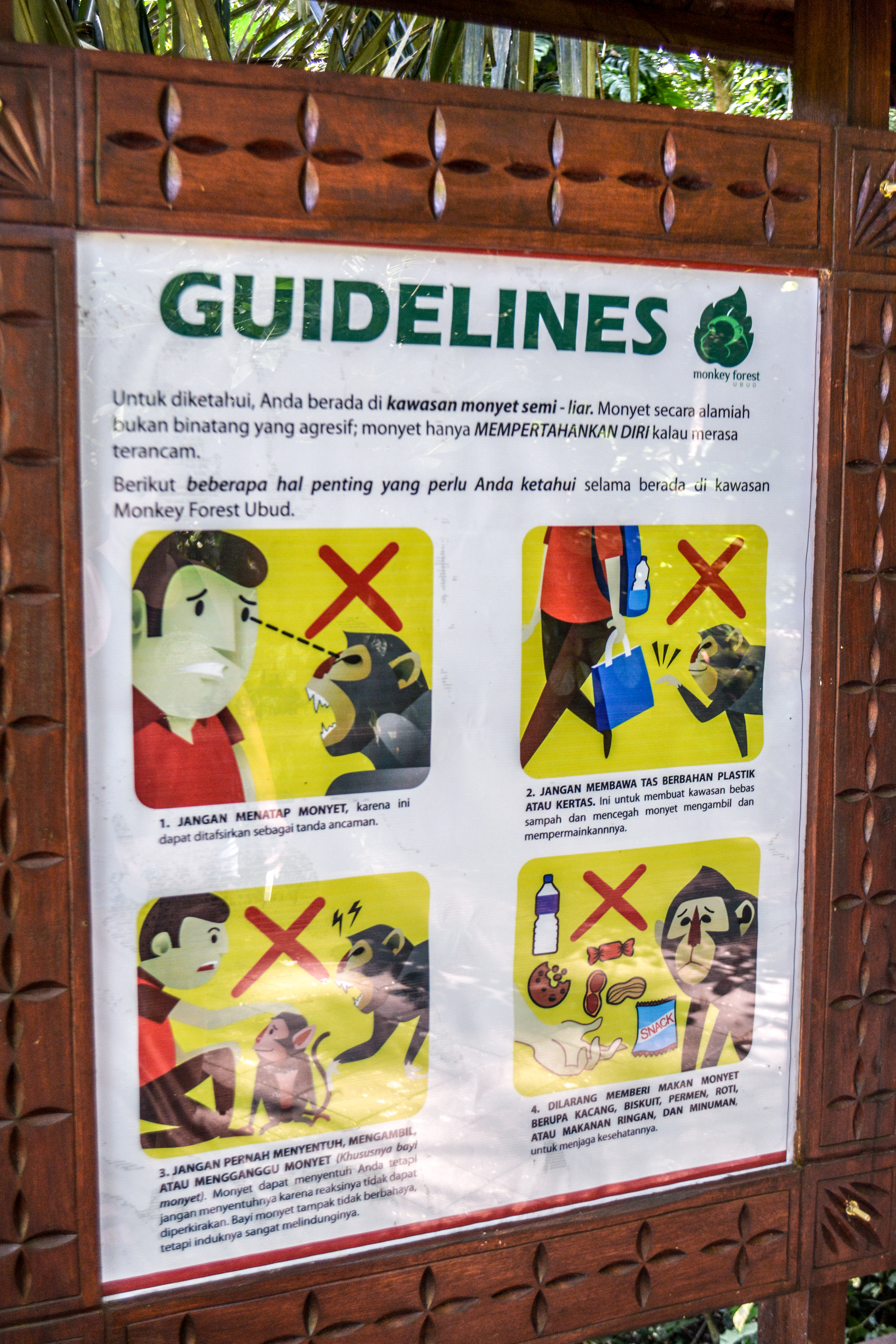 ecotourism, guidelines, monkey forest