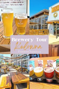 Sip on some of the best beer in Kelowna at anyone of the downtown micro breweries in Kelowna. There are so many craft breweries in Kelowna. Kelowna Beer Institute, Red Bird Brewing, Bad Tattoo Brewery and more make the cut on this Kelowna brewery tour.