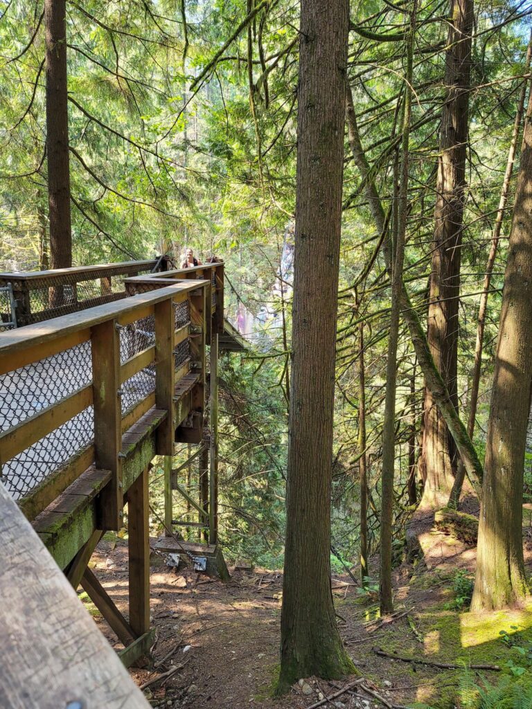 North Vancouver is home to Lynn Canyon Suspension Bridge. One of the best things to do in Kelowna is visit the Lynn Valley Suspension Bridge.