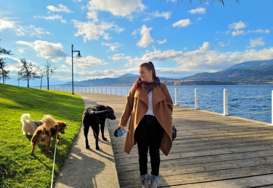waterfront boardwalk in kelowna, dogs on leashes