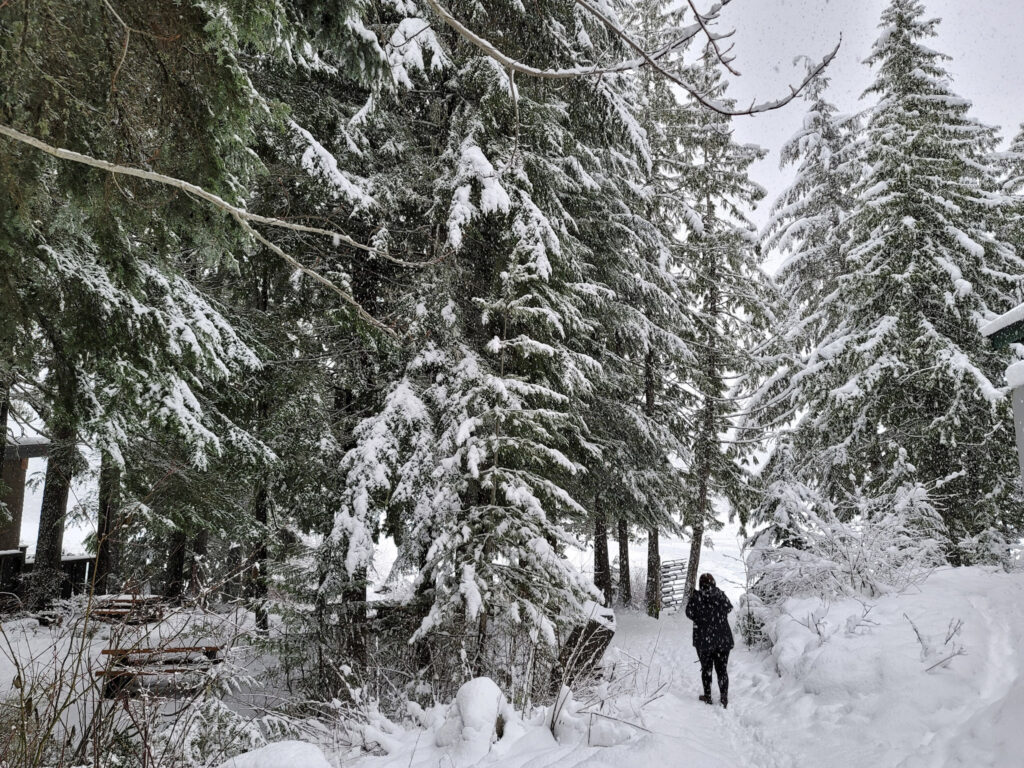 There are so many great mountains in BC including Grouse Mountain, Whistler and Big White