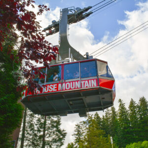 Grouse Mountain Vancouver: Everything You Need To Know About Visiting!